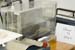 shrimp_treadmill